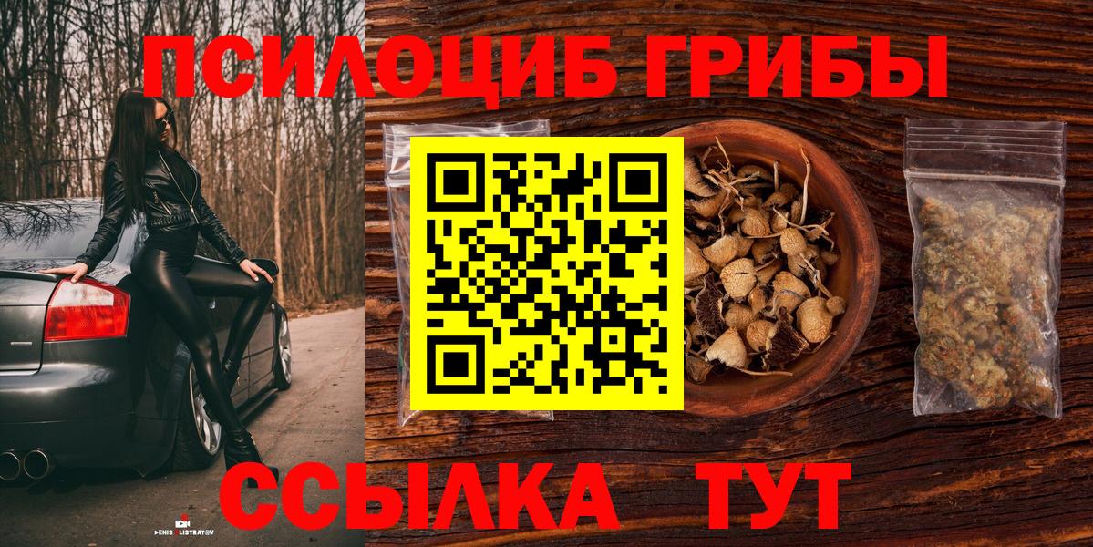 Балашов  Псилоцибиновые грибы прущие грибы  Вход с VPN 